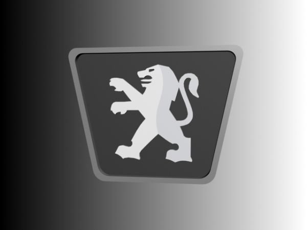 Accesorii Peugeot.