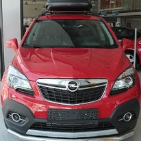 Bullbar Opel Mokka '12+