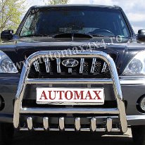 Hyundai Terracan Bullbar inox BC652 copy1