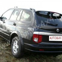 Ssangyong Kyron (1)