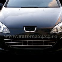 Peugeot 407 '05- Grilaj crom fata b