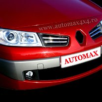 Renault Megane 3 '06- Grilaj crom fata b