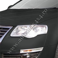 VW. New Passat '05- Rama crom far